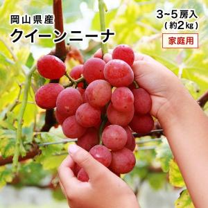 クイーンニーナ 家庭用 訳あり 3〜5房 約2k...の商品画像