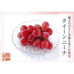 クイーンニーナ 家庭用 訳あり 3〜5房 約2...の詳細画像1