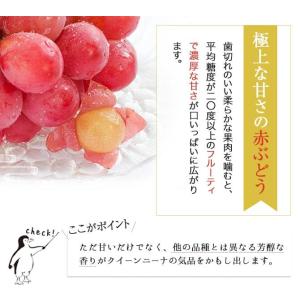クイーンニーナ 家庭用 訳あり 3〜5房 約2...の詳細画像2
