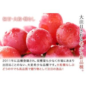 クイーンニーナ 家庭用 訳あり 3〜5房 約2...の詳細画像3