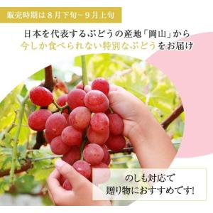 クイーンニーナ 家庭用 訳あり 3〜5房 約2...の詳細画像5