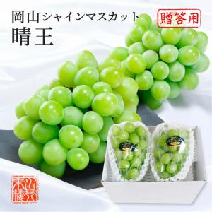 2025 シャインマスカット 晴王 赤秀品 約600g×2房  化粧箱入り 岡山県産 ぶどう ブドウ 葡萄 フルーツ ギフト プレゼント 9月上旬頃より発送 爆買