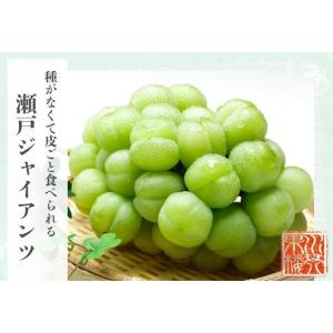 瀬戸ジャイアンツ 赤秀品 大房 3〜5房 約2...の詳細画像1