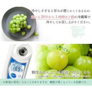 瀬戸ジャイアンツ 赤秀品 大房 3〜5房 約2...の詳細画像3