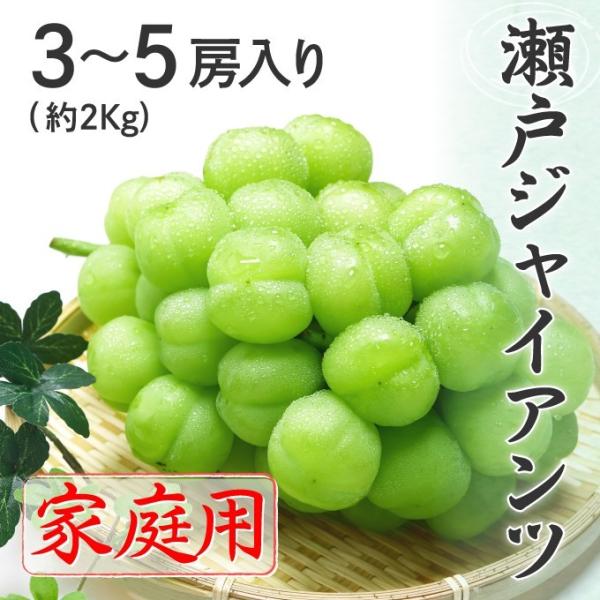 瀬戸ジャイアンツ 家庭用 訳あり 3〜5房 約2kg 岡山県特産 ぶどう ブドウ 9月下旬頃より順次...