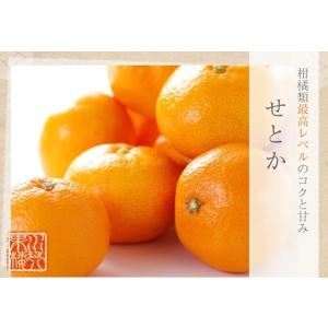 せとか 家庭用 訳あり 3L〜4L 約5kg ...の詳細画像1