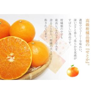 せとか 家庭用 訳あり 3L〜4L 約5kg ...の詳細画像2