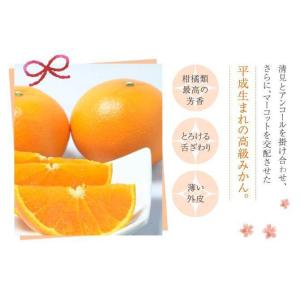 せとか 家庭用 訳あり 3L〜4L 約5kg ...の詳細画像4