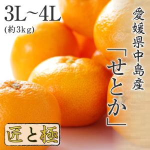 せとか 匠と極 Lサイズ6玉 贈答用 愛媛県 中島産 みかん JAえひめ中央
