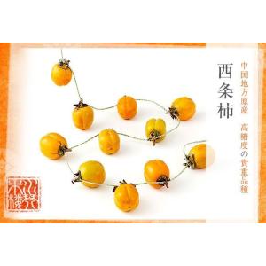 (10月下旬頃より発送) 岡山県産 西条柿 軸...の詳細画像1