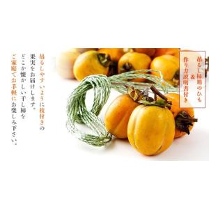(10月下旬頃より発送) 岡山県産 西条柿 軸...の詳細画像2