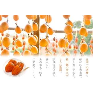 (10月下旬頃より発送) 岡山県産 西条柿 軸...の詳細画像4