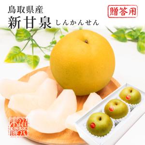 (9月上旬頃より順次発送) 鳥取県産 梨 新甘泉 しんかんせん 秀品 Lサイズ 約250g×3玉入り なし ナシ フルーツ 爆買