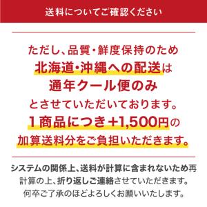 2026 鳥取県産 梨 新甘泉 しんかんせん ...の詳細画像5