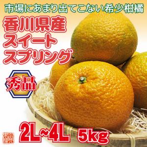 香川県産 スイートスプリング 秀品 2L〜4Lサイズ 約5kg みかん フルーツ