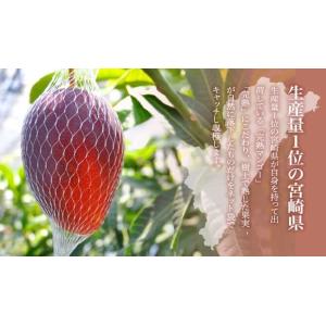 2026 太陽のタマゴ 宮崎県産 宮崎県産 太...の詳細画像2