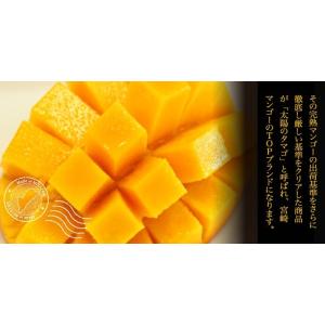 2026 太陽のタマゴ 宮崎県産 宮崎県産 太...の詳細画像3