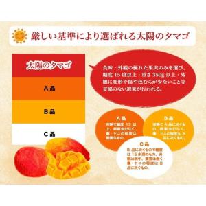 2026 太陽のタマゴ 宮崎県産 宮崎県産 太...の詳細画像4