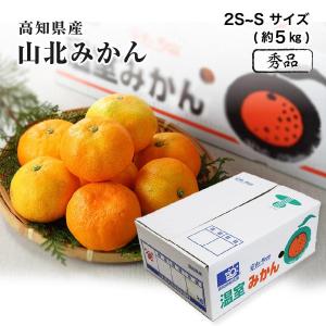 高知県産 山北温室みかん 温州みかん 秀品 2S〜Sサイズ 5kg みかん 夏 フルーツ｜suikinkarou