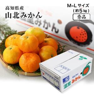 みかん せとみ （ ゆめほっぺ 同品種）4.5kg 秀品大きさおまかせ 山口