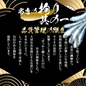 【送料無料】紅帝楊貴妃めだか10匹 生体 セッ...の詳細画像2