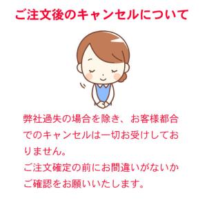 資生堂 ベネフィーク プリズムパウダリー(レフ...の詳細画像1