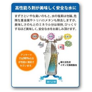 ライカピュア 交換カートリッジ 3本入りの詳細画像2