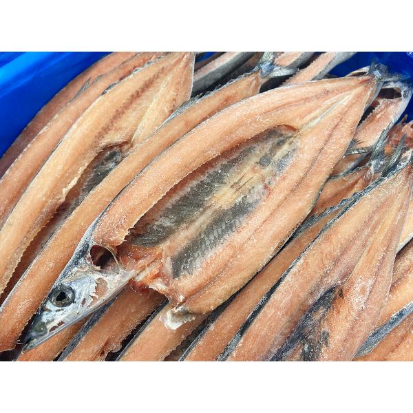 さんま開き 30尾 開きさんま さんま開 開さんま さんま サンマ 秋刀魚 焼魚 定食 おかず 業務...