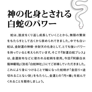 【財運白蛇ブレス】白蛇モチーフ 金運 開運 縁...の詳細画像3