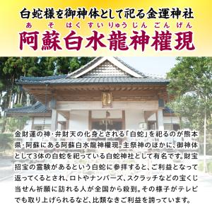 【財運白蛇ブレス】白蛇モチーフ 金運 開運 縁...の詳細画像5