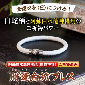 【財運白蛇ブレス】白蛇モチーフ 金運 開運 縁...の詳細画像1