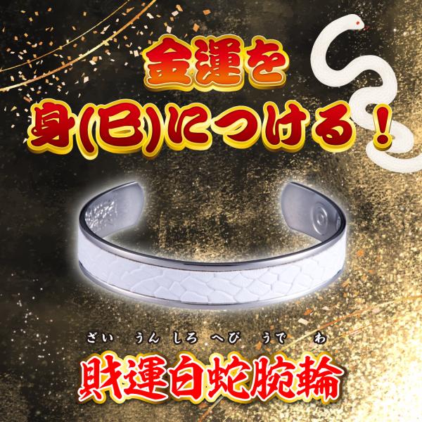 【財運白蛇腕輪】へび 巳年 バングル ブレスレット おしゃれ