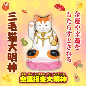 金運億万大明神】開運 縁起物 招き猫 金色 置物 : 水晶院shop - 通販