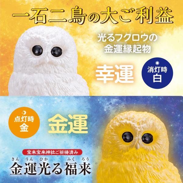 【金運光る福来】開運 フクロウ ライト 縁起物