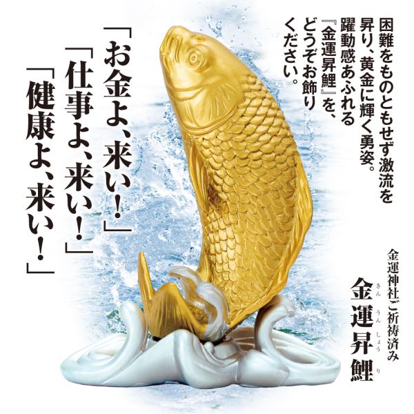 【金運昇鯉】縁起物 開運 出世 魚 金色 置物
