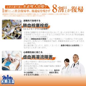 ポータブル水素吸入キット 水素deレスキュー ...の詳細画像4