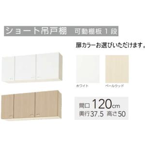 クリナップ 吊戸棚 クリンプレティ 間口105cm WGTS-105 扉カラー2色