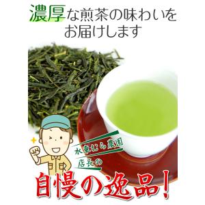 深蒸し茶 特選新芽みどり 100g 無農薬煎茶...の詳細画像1