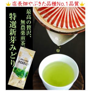 深蒸し茶 特選新芽みどり 100g 無農薬煎茶...の詳細画像2