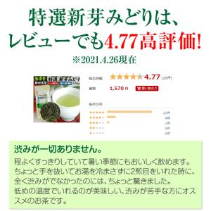 深蒸し茶 特選新芽みどり 100g 無農薬煎茶...の詳細画像3