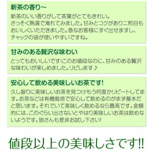 深蒸し茶 特選新芽みどり 100g 無農薬煎茶...の詳細画像4