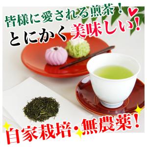 深蒸し茶 特選新芽みどり 100g 無農薬煎茶...の詳細画像5
