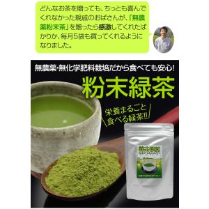 粉末茶(微粉末緑茶、微粉末煎茶)100g 無農...の詳細画像1