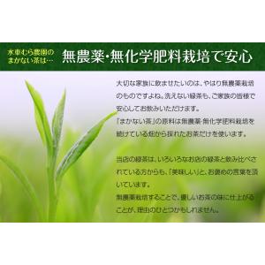 『まかない茶』たっぷり100個の緑茶ティーバッ...の詳細画像3