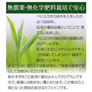 べにふうき茶粉末 50g×4袋セット 無農薬栽...の詳細画像3