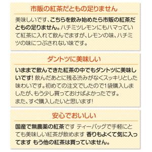 たっぷり100個(1個3g)の無農薬紅茶ティー...の詳細画像3