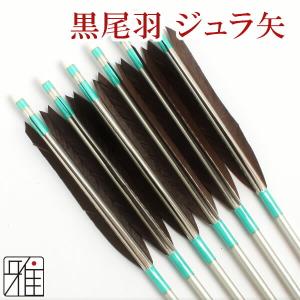弓道 むしり取っ EASTON XX75 2014 2015 矢6本・矢筒セット