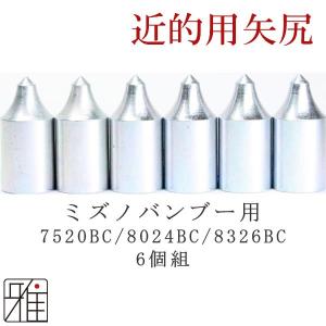 弓道 矢 インサート 6個組 イーストンジュラ矢 1913シャフト用 1.5g