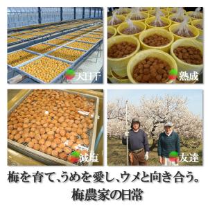 紀州梅干し 1kg はちみつ入 紀州産南高梅 ...の詳細画像4