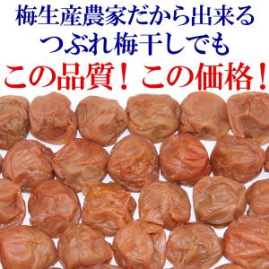 紀州つぶれ梅干 2.4KG 紀州南高梅(梅干し...の詳細画像2